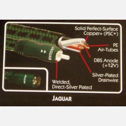 Audioquest Jaguar 12 V